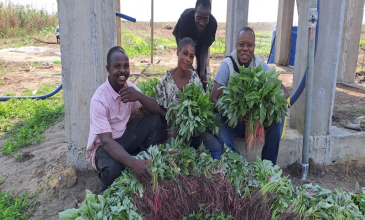 Les fruits de demain : Améliorer la nutrition de la population des villages du plateau de Bateké, RDC – Phase 2 en marche