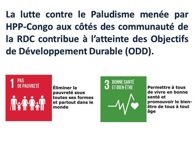 Fin du film sur la malaria 2020